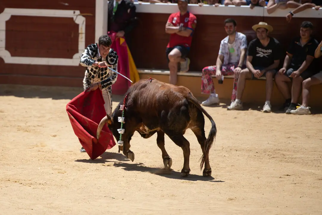 Viernes de Toros (111)