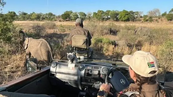 &Aacute;frica Banzo, de safaris en &Aacute;frica (8)