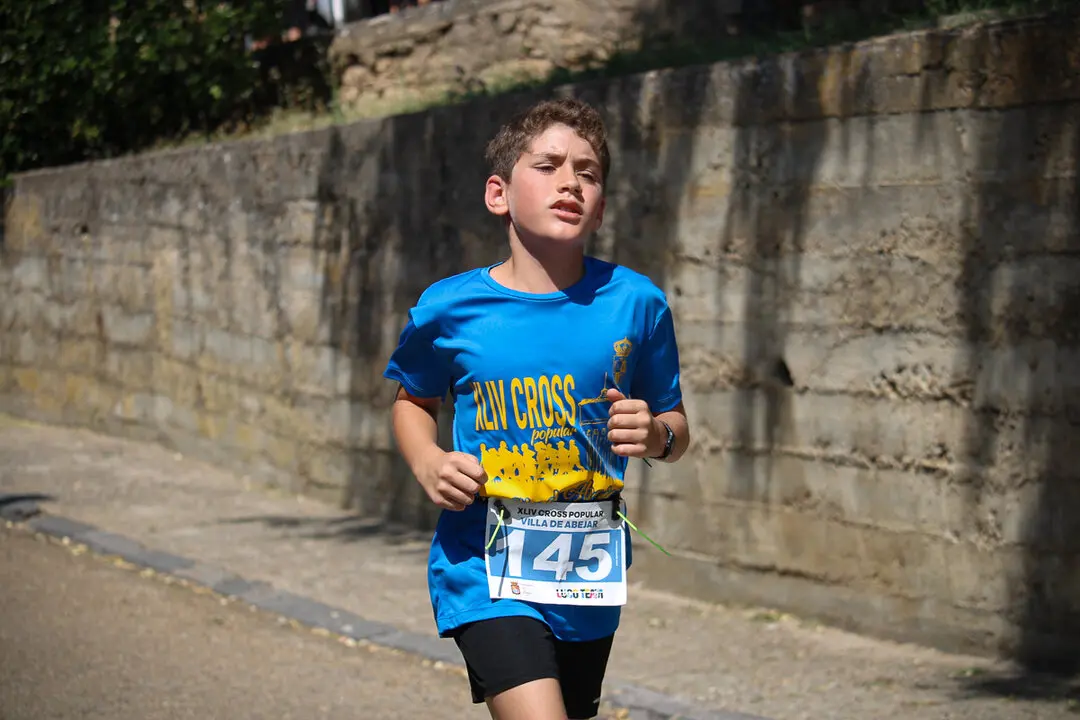 XLIV Cross Popular de Abejar, categor&iacute;as inferiores y entrega de premios-32