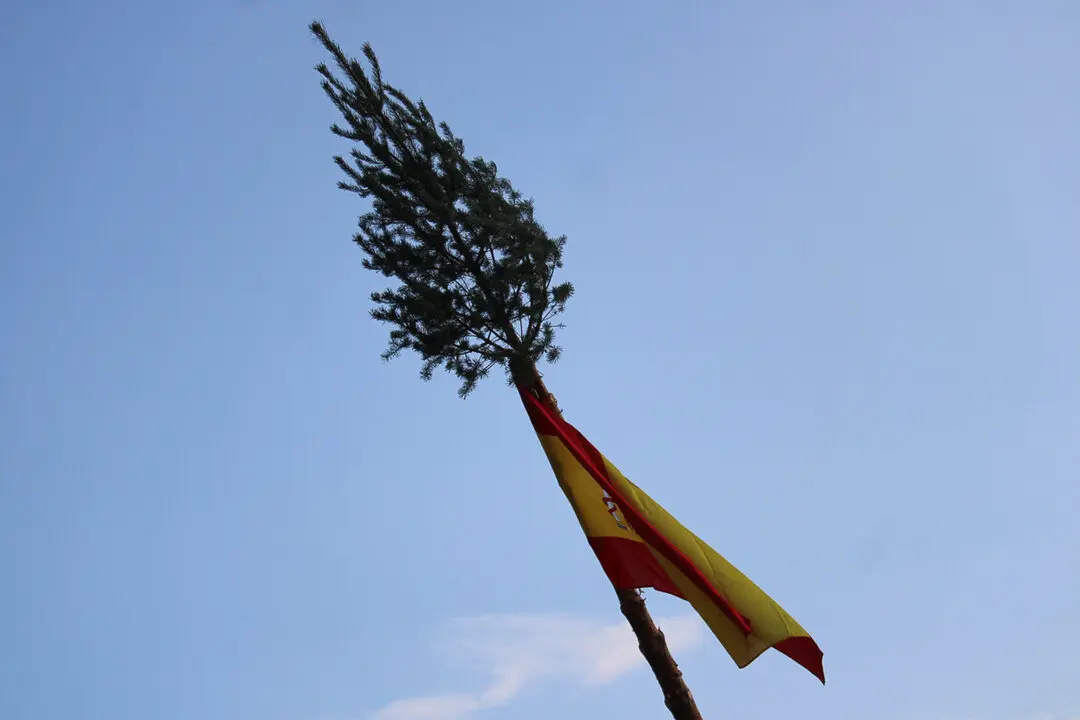 Pingada del Mayo