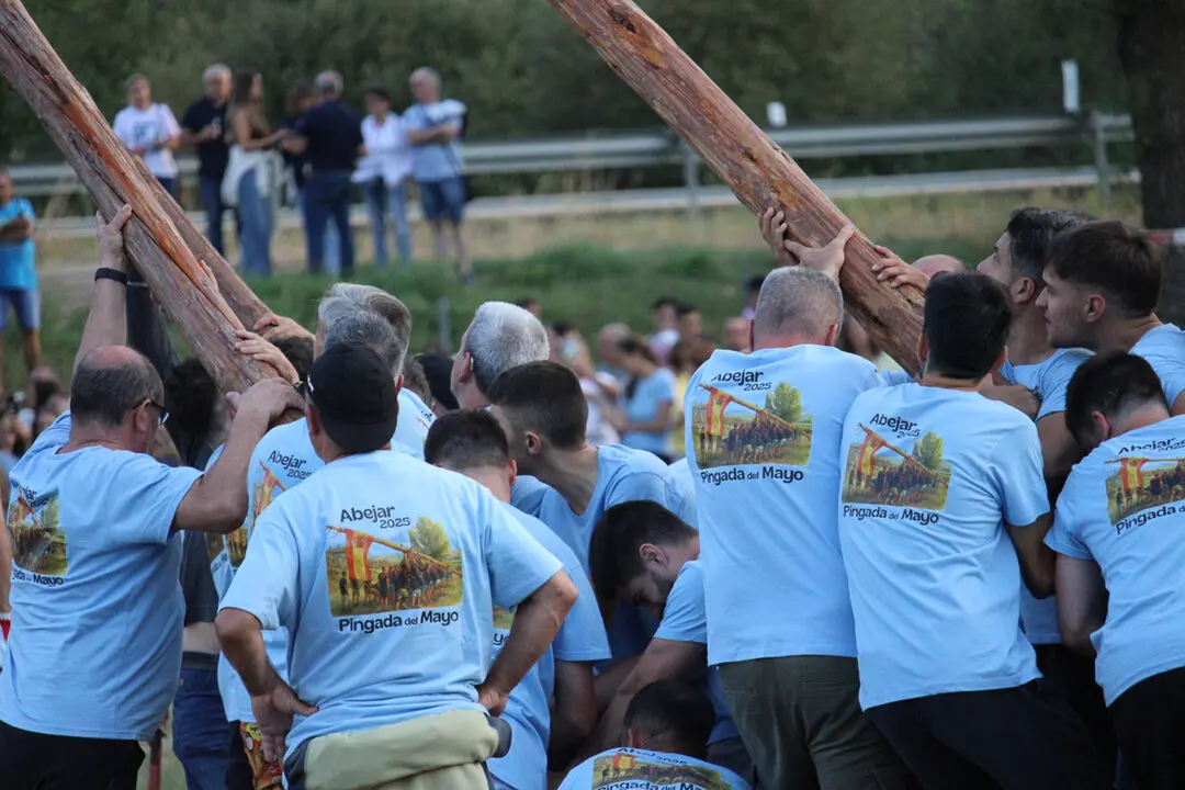 Pingada del Mayo Abejar 2025-54