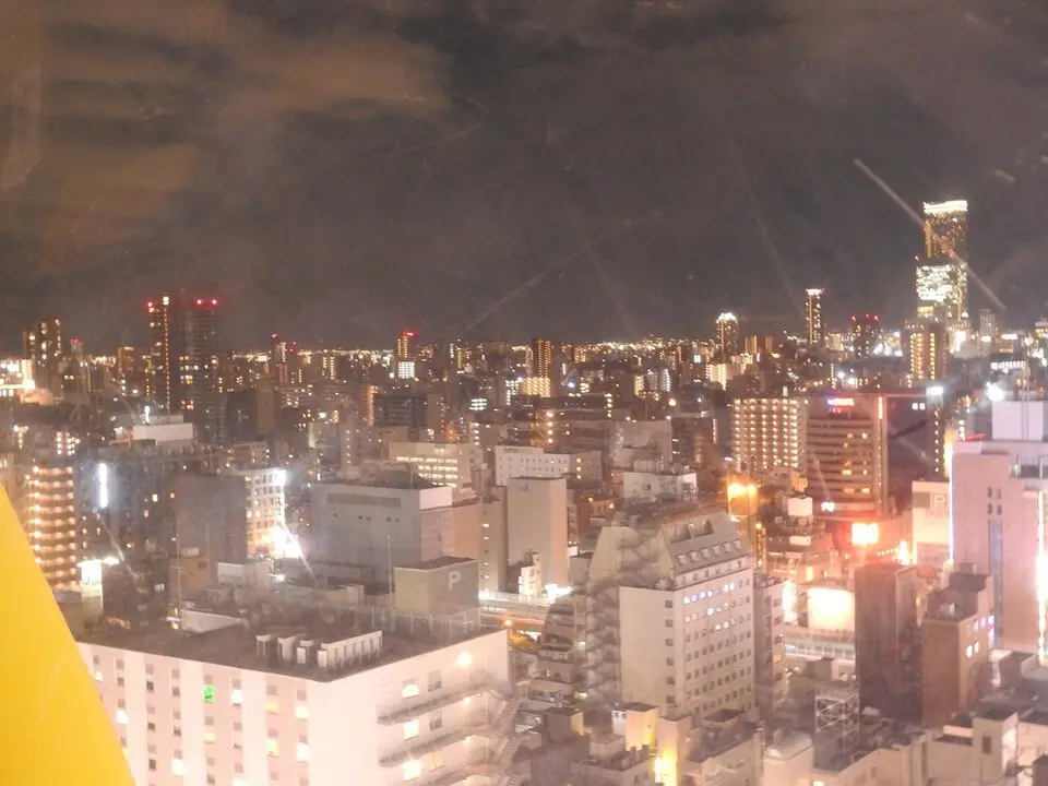 Un d&iacute;a en Osaka (14)
