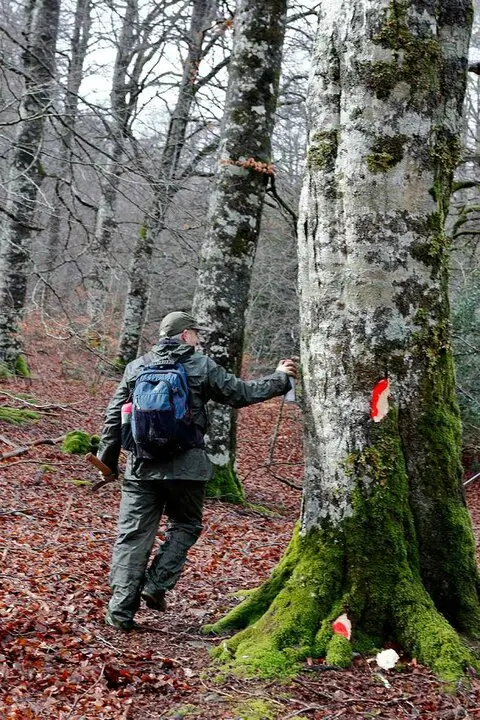 Se&ntilde;alamientos forestales