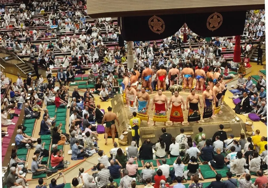 1 Combate de sumo (1)