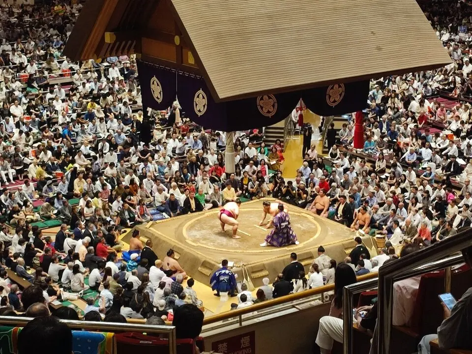 1 Combate de sumo (3)