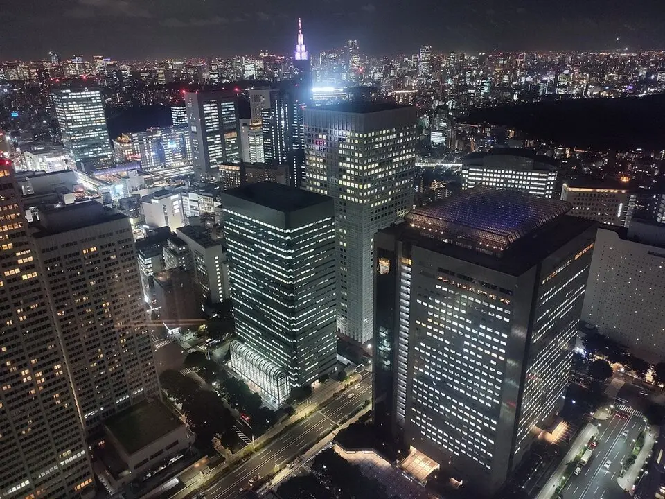 2 Edificio del Gobierno Metropolitano de Tokio (1)