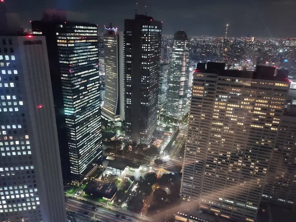2 Edificio del Gobierno Metropolitano de Tokio (2)