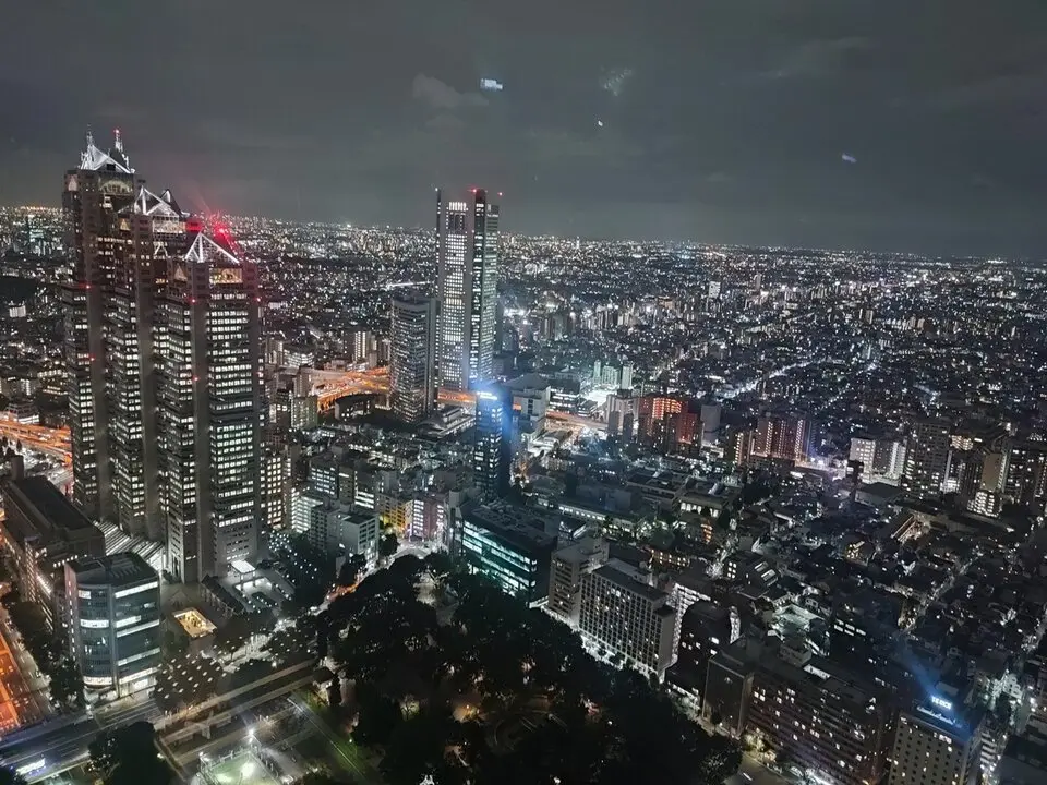 2 Edificio del Gobierno Metropolitano de Tokio (3)