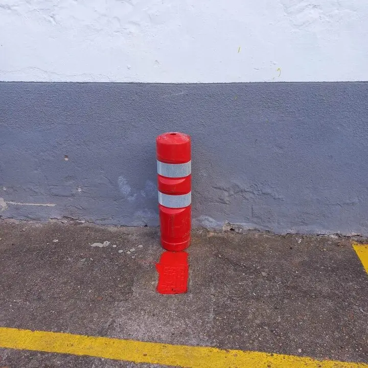 Villar de Ala contra los incendios (7)