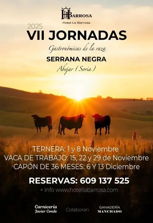 VII Jornadas Vaca Serrana
