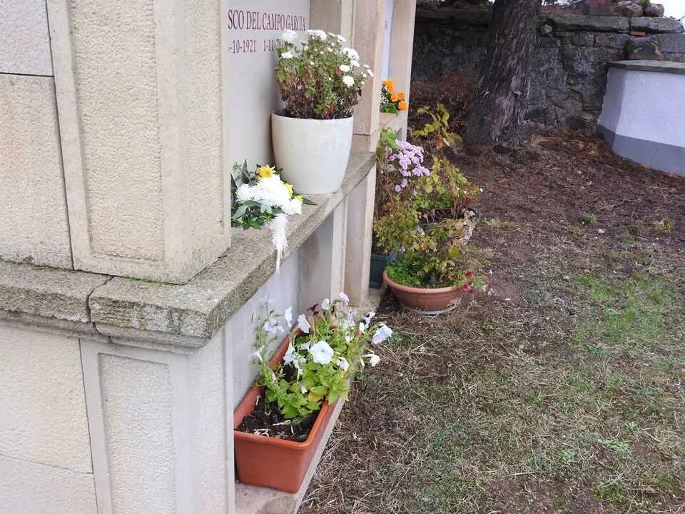 Cementerio de Villar del Ala (1)