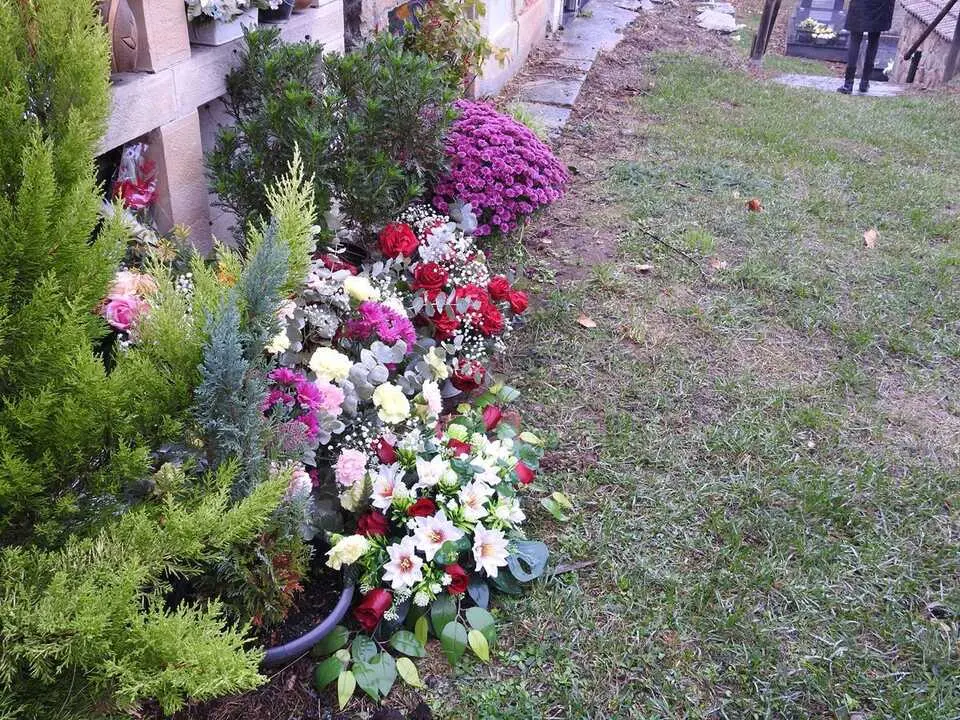 Cementerio de Villar del Ala (2)