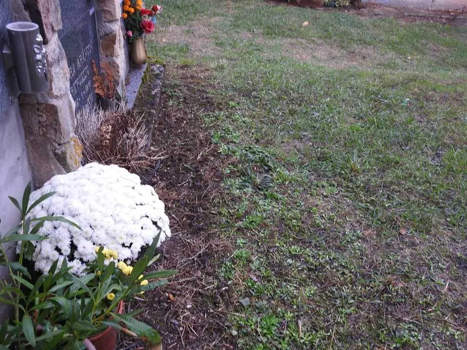 Cementerio de Villar del Ala (3)