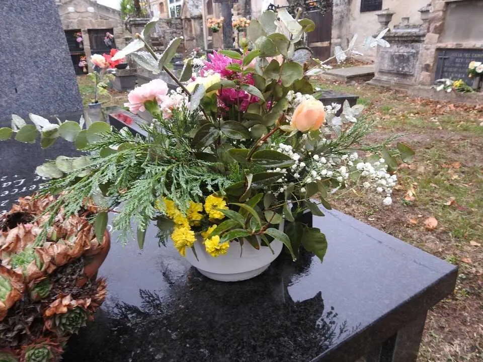 Cementerio de Villar del Ala (8)