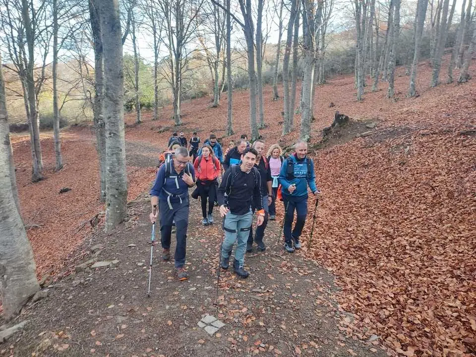 Ruta de Santa Cruz de Yanguas, hayedo, Palomera, Berrocal (8)