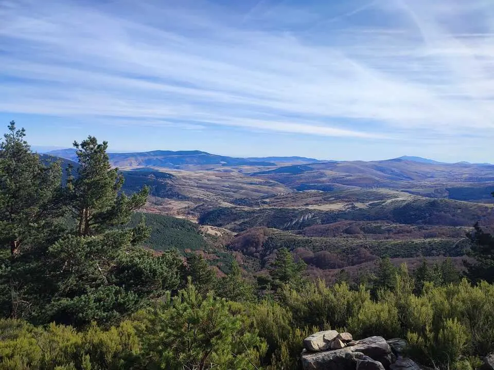 Ruta de Santa Cruz de Yanguas, hayedo, Palomera, Berrocal (15)
