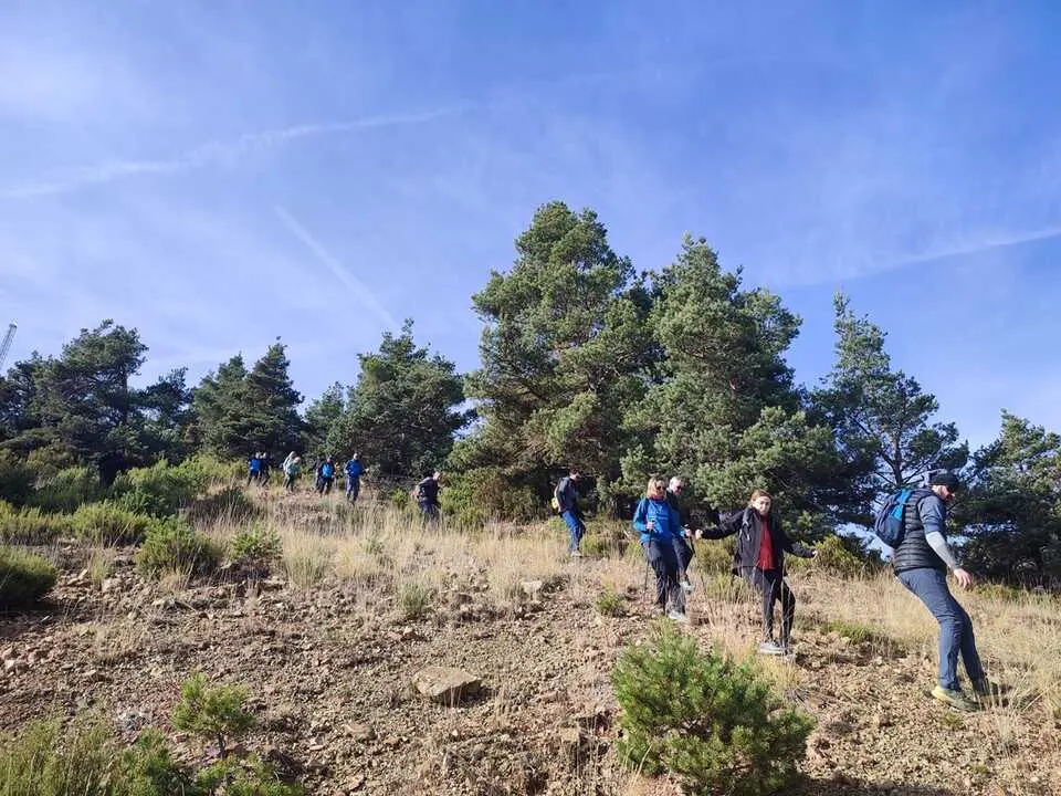 Ruta de Santa Cruz de Yanguas, hayedo, Palomera, Berrocal (16)