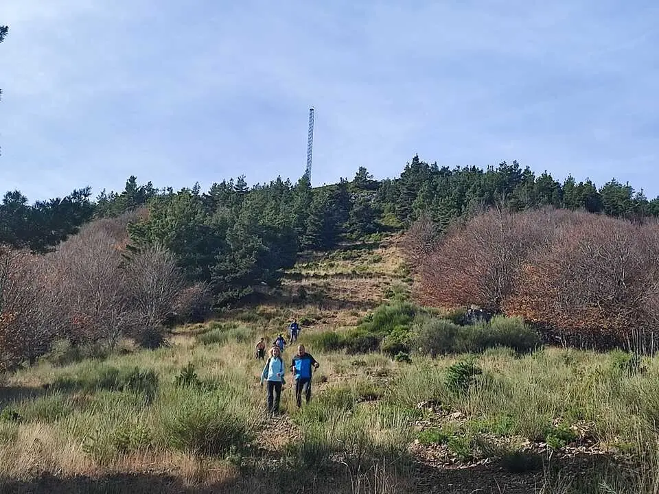 Ruta de Santa Cruz de Yanguas, hayedo, Palomera, Berrocal (17)