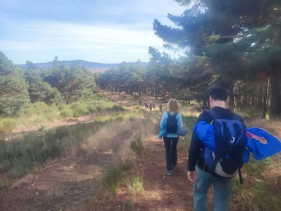 Ruta de Santa Cruz de Yanguas, hayedo, Palomera, Berrocal (18)