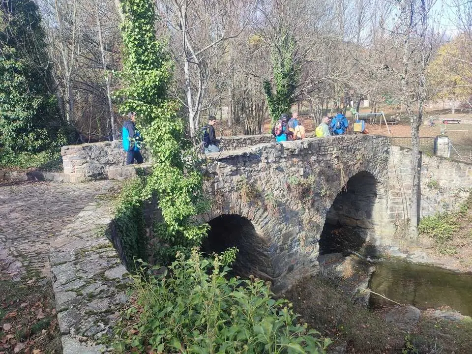 Ruta de Santa Cruz de Yanguas, hayedo, Palomera, Berrocal (20)