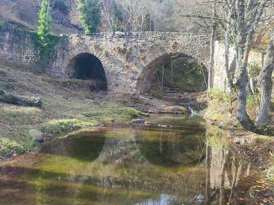 Ruta de Santa Cruz de Yanguas, hayedo, Palomera, Berrocal (24)