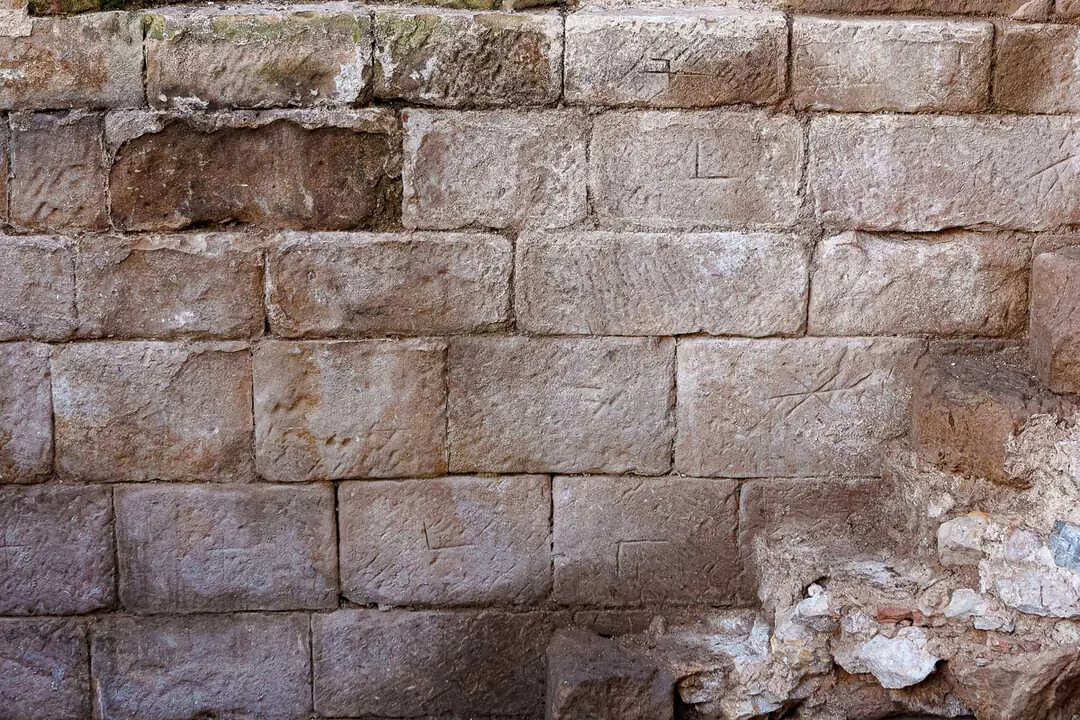 Castillo Caracena-6