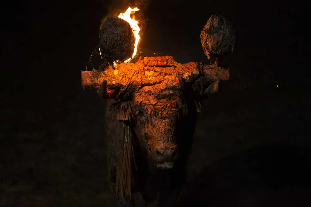 Toro Jubilo7