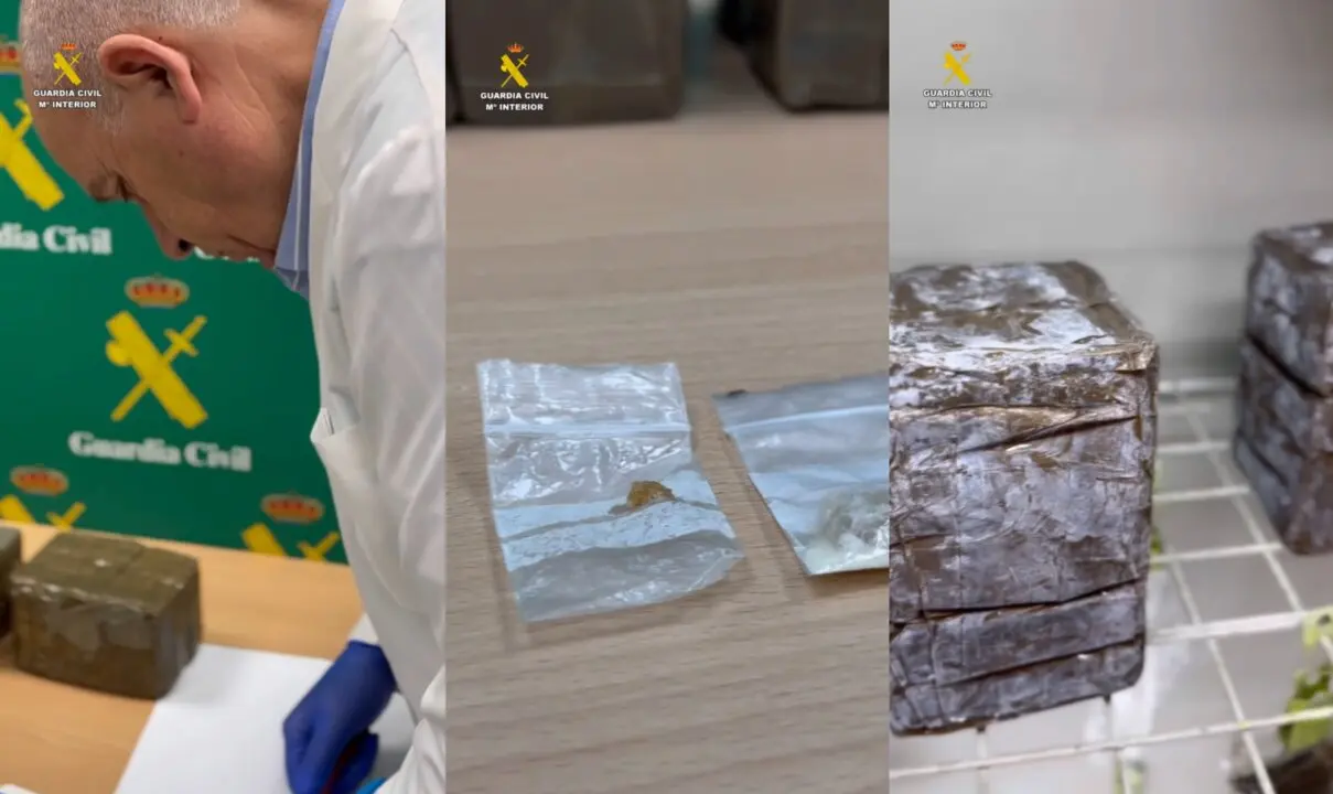 Sustancias intervenidas