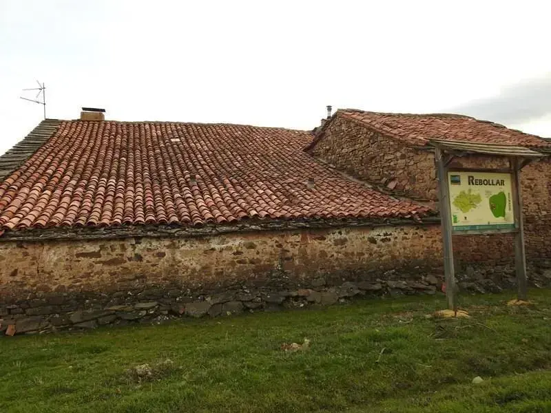 Rebollar