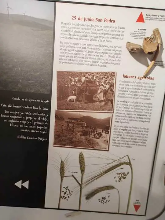 Feria Acebo Oncala (2)