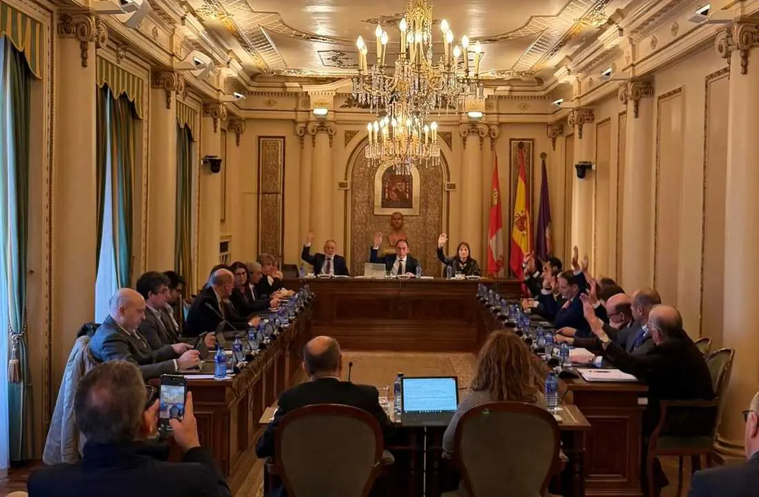 Pleno ordinario febrero 2026