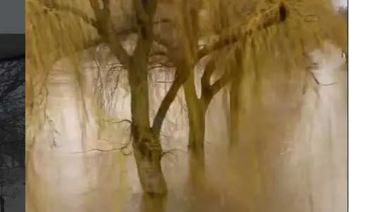 El Duero en Garray