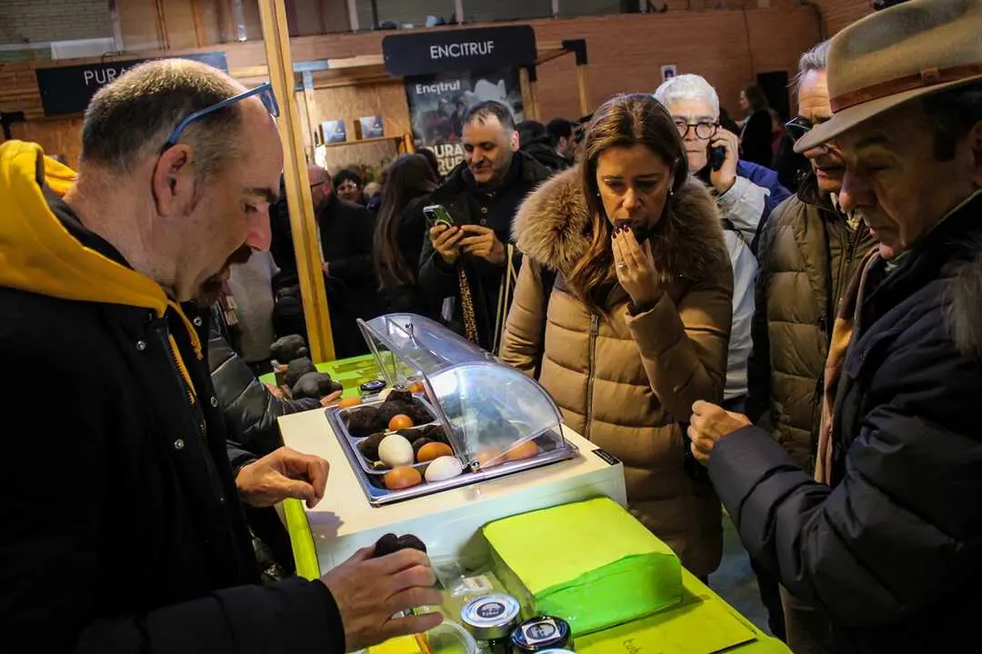 XXIII Feria de la Trufa de Soria en Abejar-21