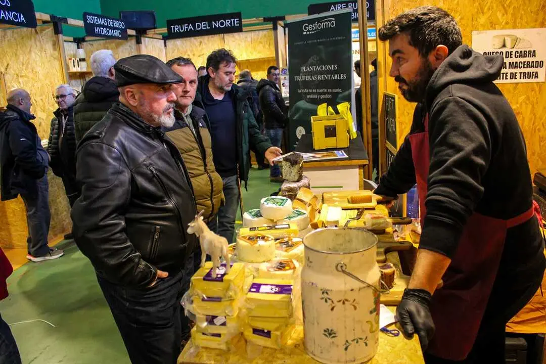 XXIII Feria de la Trufa de Soria en Abejar-24