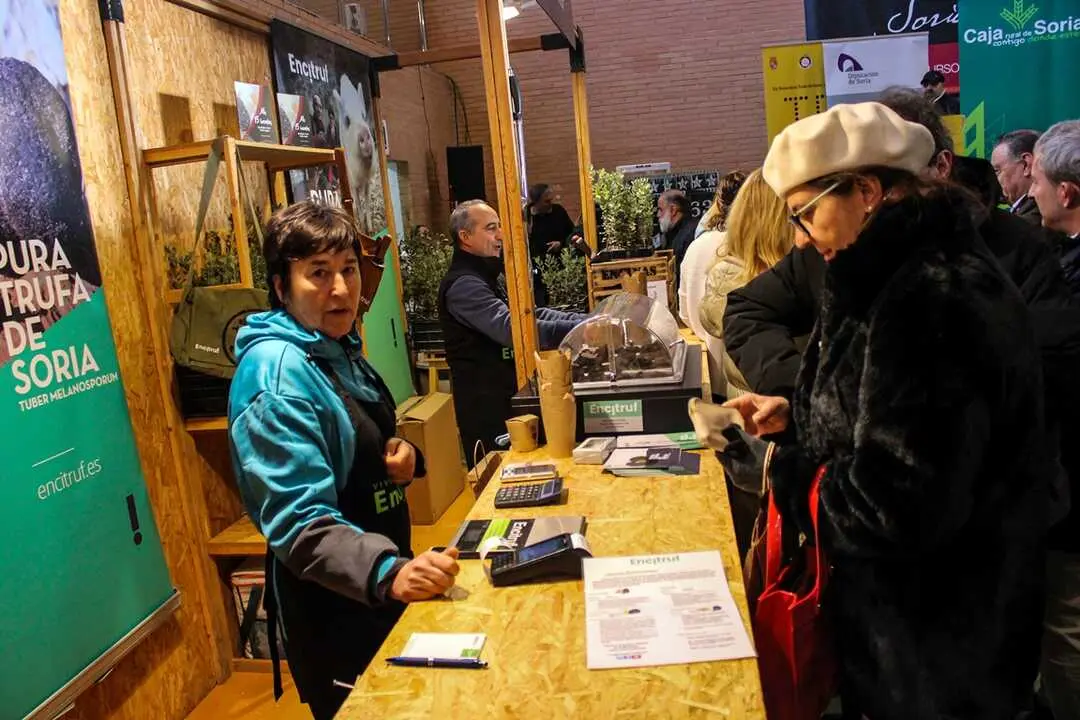XXIII Feria de la Trufa de Soria en Abejar-31