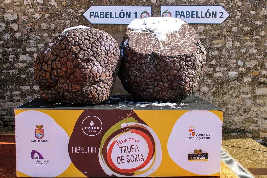 XXIII Feria de la Trufa de Soria en Abejar-33