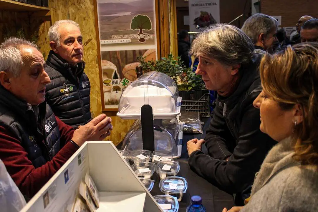 XXIII Feria de la Trufa de Soria en Abejar-38