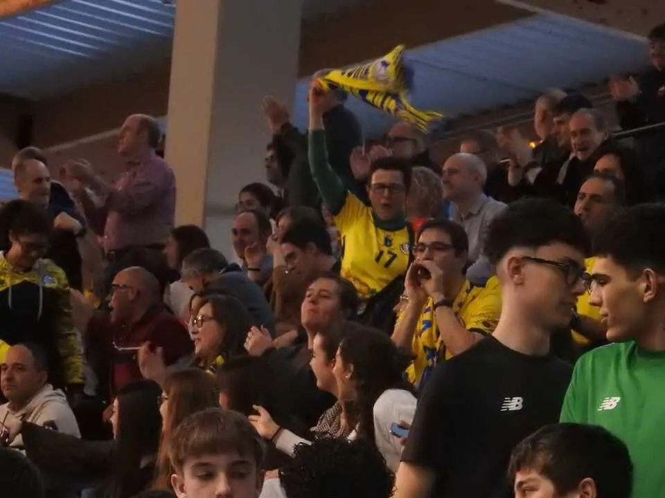 BM Soria Cajasol Sevilla Proin (25)