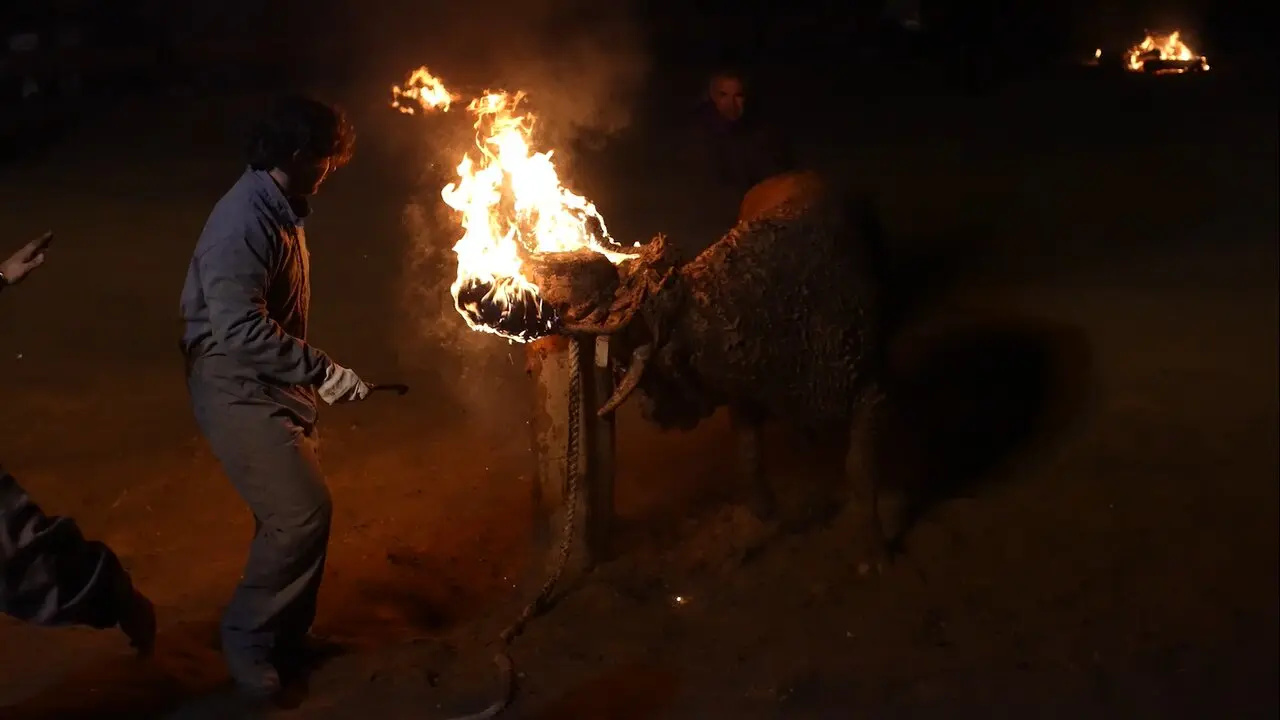 Toro Jubilo