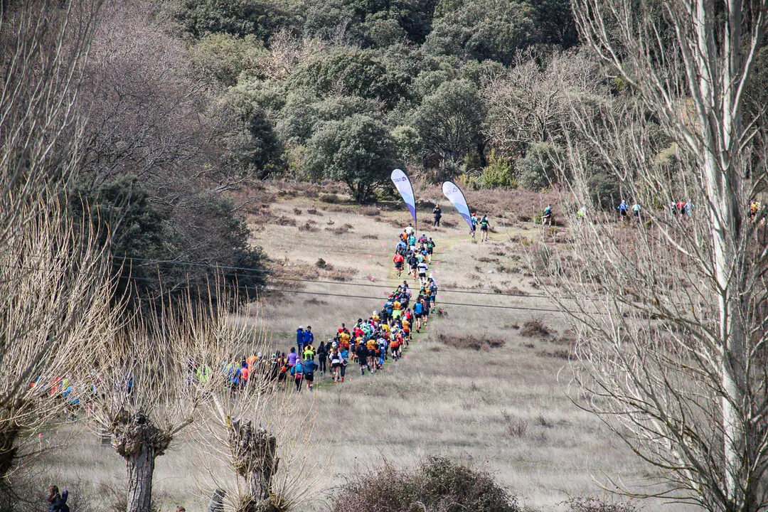 Trail 7 Infantes Narros-20