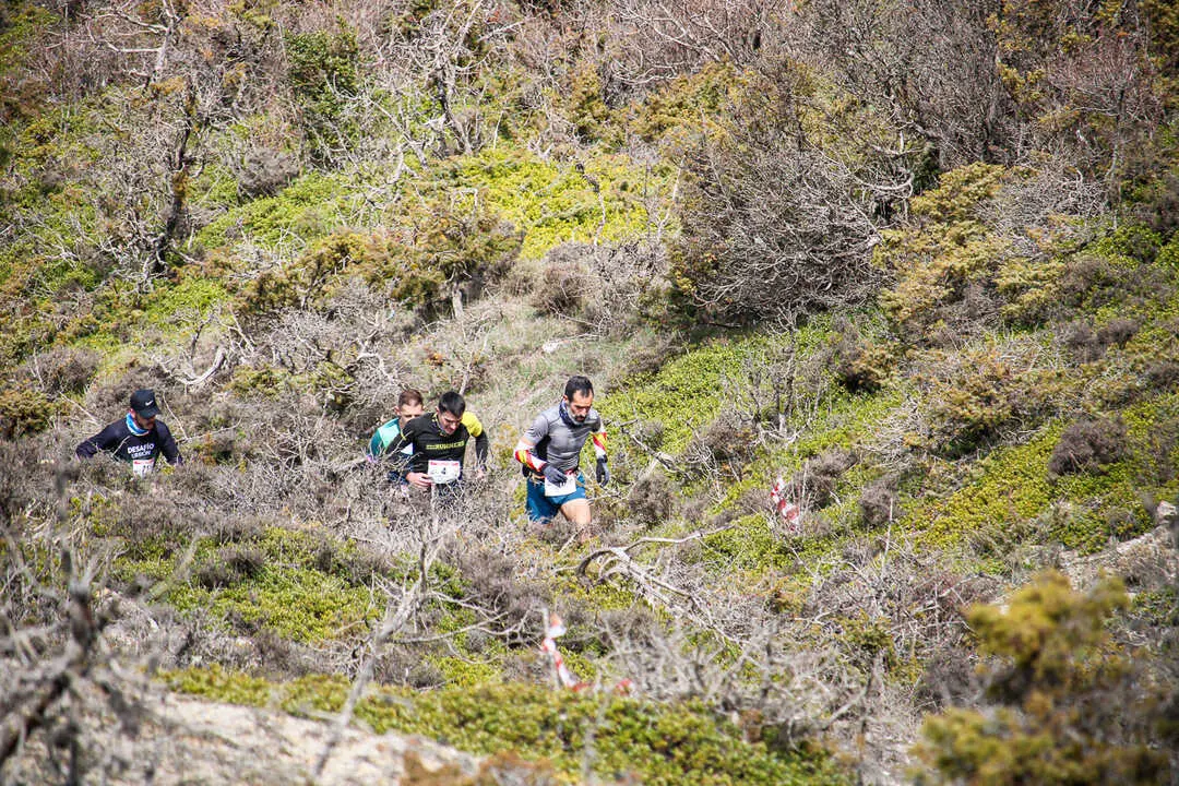 Trail 7 Infantes Narros-109