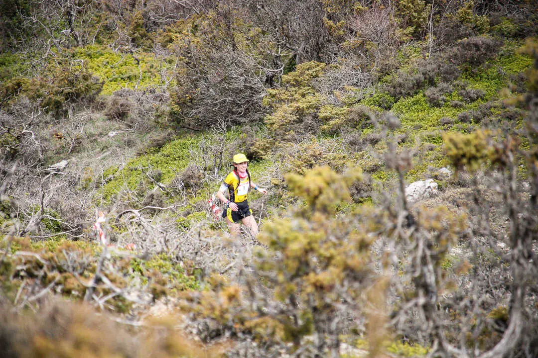 Trail 7 Infantes Narros-116