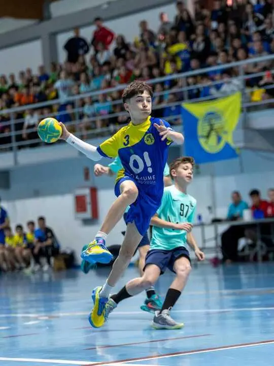 Torneo de Balonmano de &Aacute;greda 87