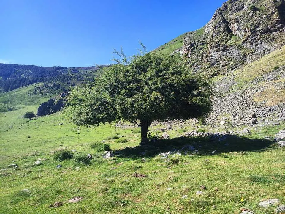 Descenso al Pico Ochernas (20)