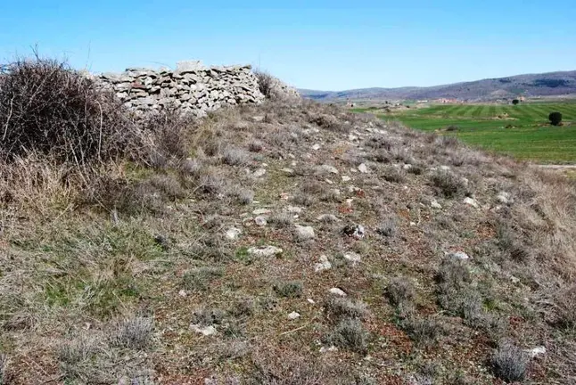 Los Castellares en Aldealices (celtiberiasoria.es)