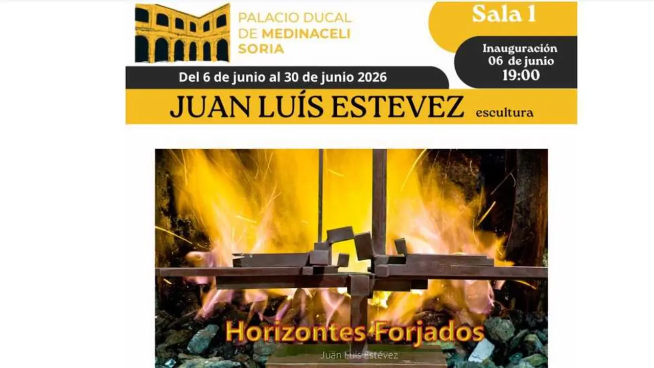 Juan Luis Est&eacute;vez