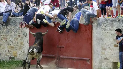 Foto: Santiago Farizano