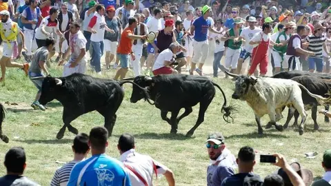 Foto: Santiago Farizano