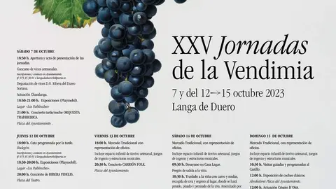 Jornadas de la vendimia de Langa