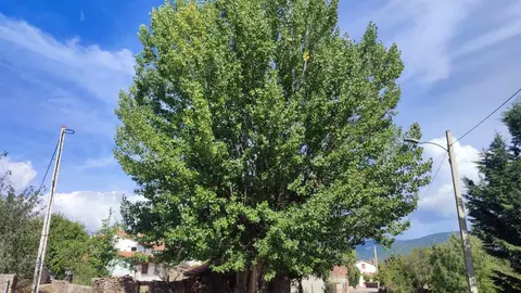 Villar de Ala